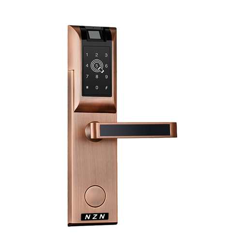 Smart Door Lock Access System