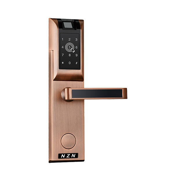 Smart Door Lock Access System